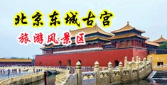 肥婆黄片中国北京-东城古宫旅游风景区